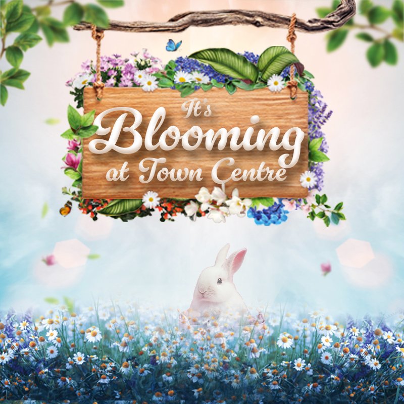 Its Blooming in Spring at Town Centre!